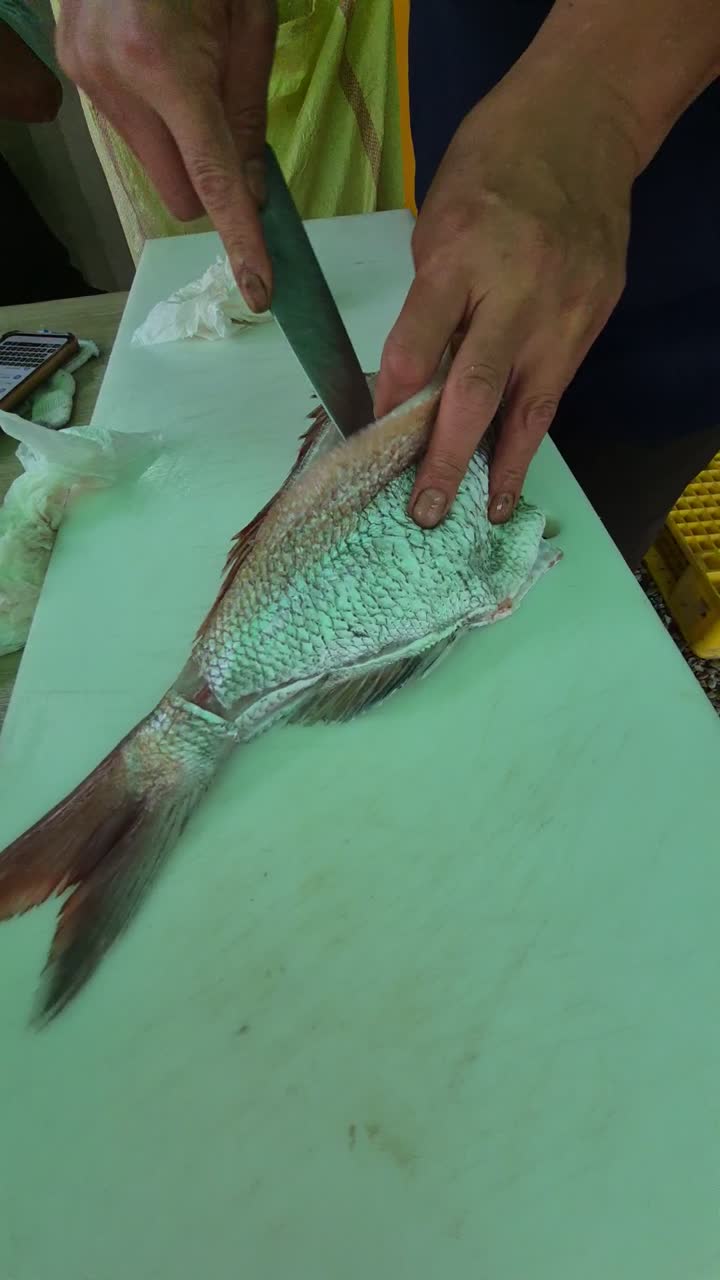 오늘의 울기 직전